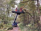 Arbeiten im Arbeitskorb des Teleskopladers.